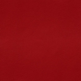 Filz Stücke 2 mm (20 x 30 cm) red